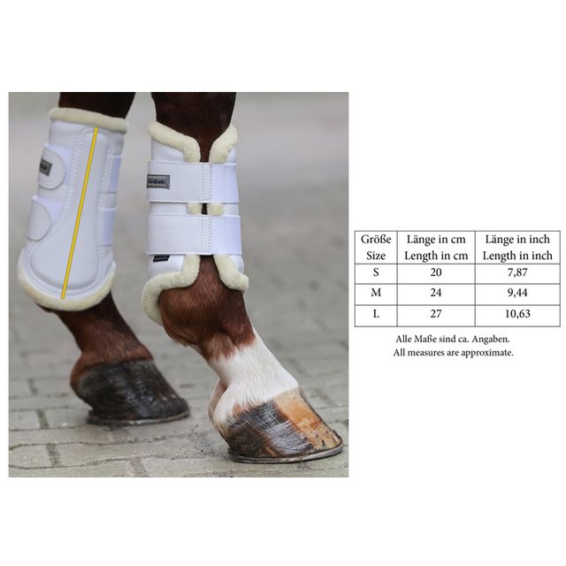 Caneleiras Anatomic veganas | Kavalkade